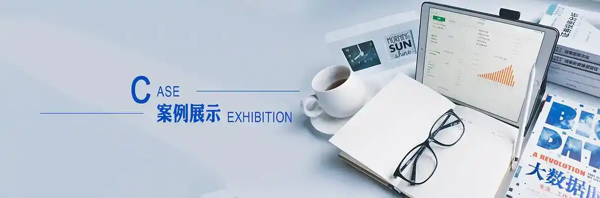 夹江县软件开发